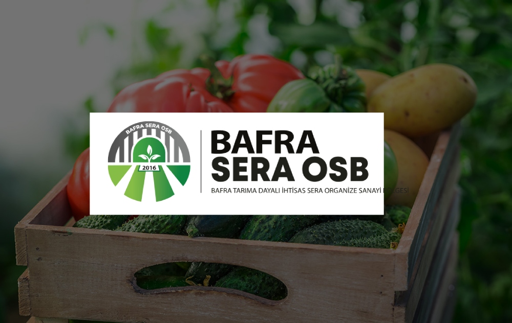 BMS SERACILIK TARIM VE HAYVANCILIK ANONİM ŞİRKETİ BMS SERACILIK TARIM VE HAYVANCILIK ANONİM ŞİRKETİ