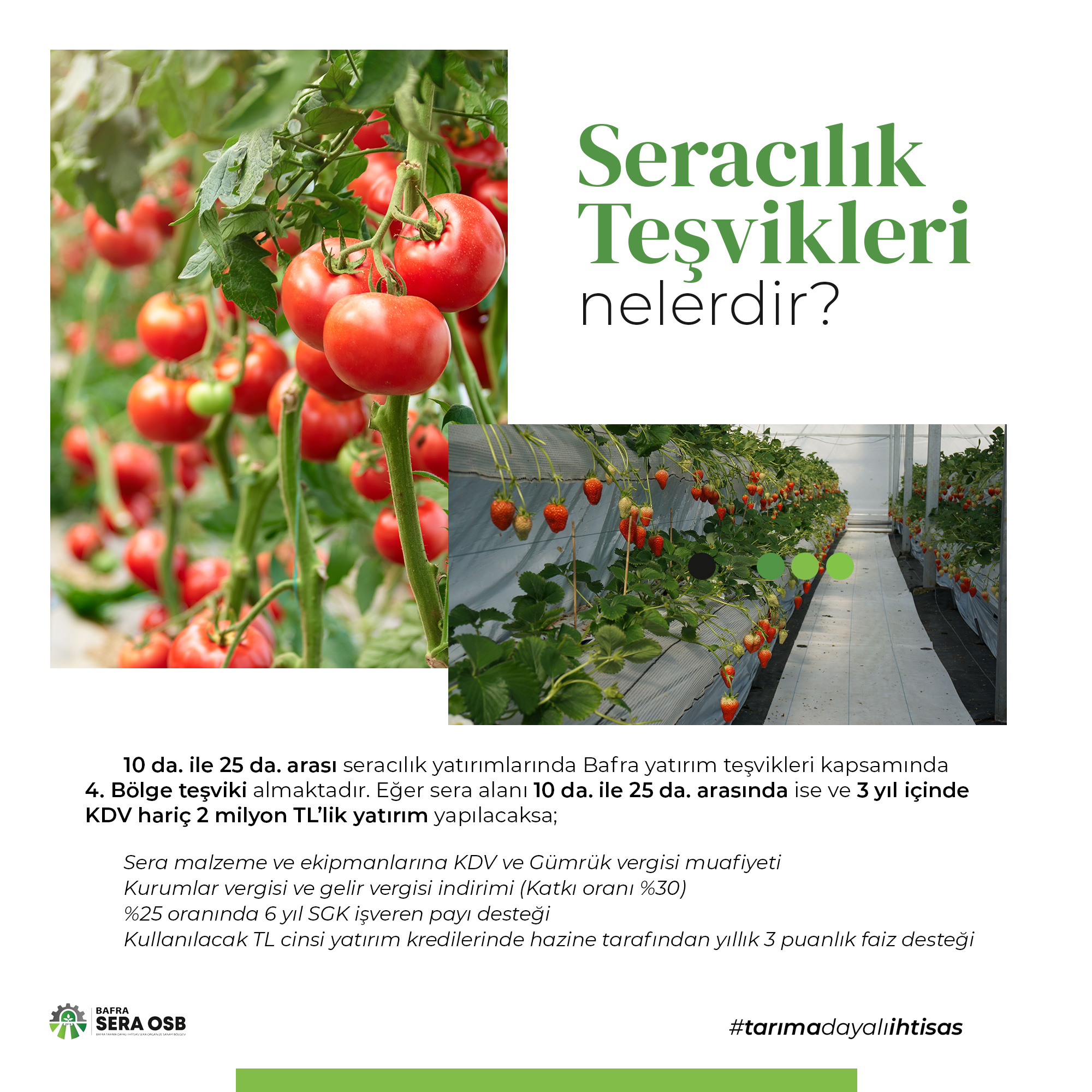 Seracılık Teşvikleri Nelerdir?